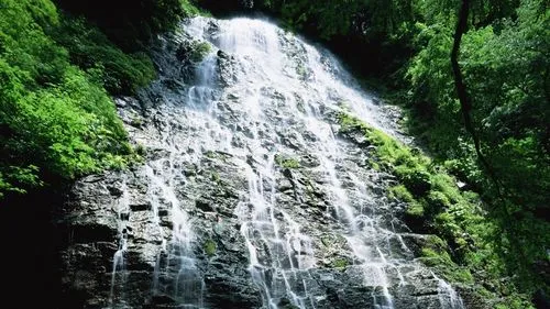 环保高端